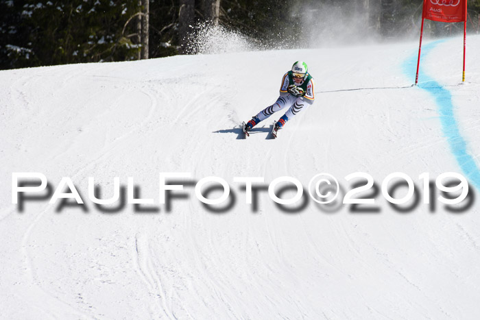 FIS, Int. Dt. Jugendmeisterschaft Abfahrt, Damen + Herren, 20.03.2019