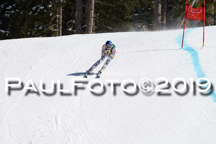 FIS, Int. Dt. Jugendmeisterschaft Abfahrt, Damen + Herren, 20.03.2019