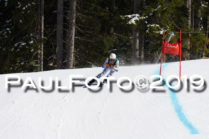 FIS, Int. Dt. Jugendmeisterschaft Abfahrt, Damen + Herren, 20.03.2019