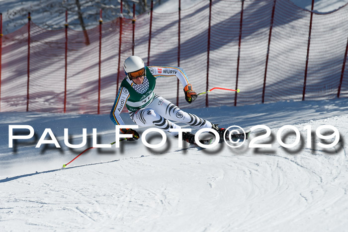 FIS, Int. Dt. Jugendmeisterschaft Abfahrt, Damen + Herren, 20.03.2019