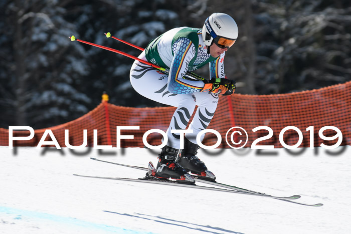 FIS, Int. Dt. Jugendmeisterschaft Abfahrt, Damen + Herren, 20.03.2019