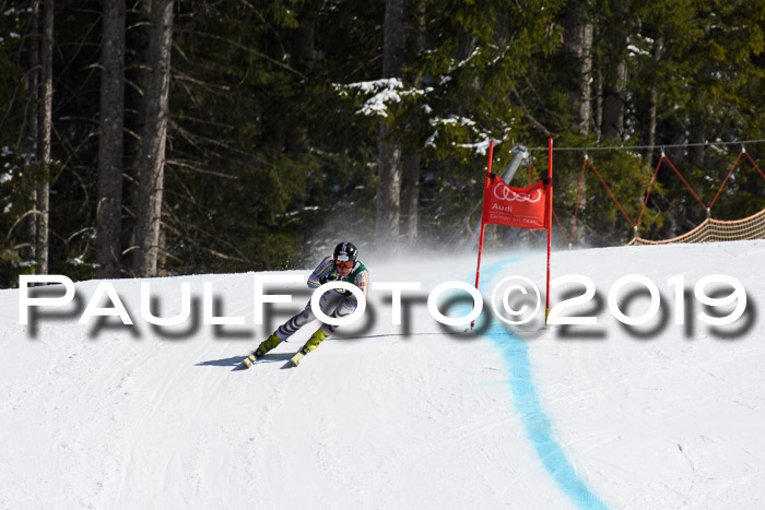 FIS, Int. Dt. Jugendmeisterschaft Abfahrt, Damen + Herren, 20.03.2019