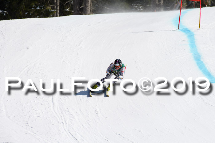 FIS, Int. Dt. Jugendmeisterschaft Abfahrt, Damen + Herren, 20.03.2019