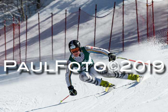 FIS, Int. Dt. Jugendmeisterschaft Abfahrt, Damen + Herren, 20.03.2019