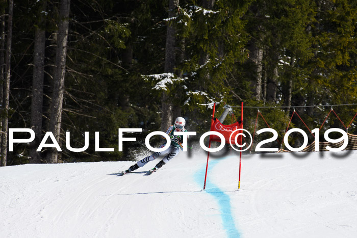 FIS, Int. Dt. Jugendmeisterschaft Abfahrt, Damen + Herren, 20.03.2019