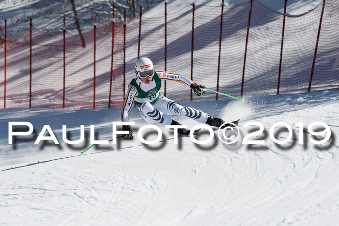 FIS, Int. Dt. Jugendmeisterschaft Abfahrt, Damen + Herren, 20.03.2019
