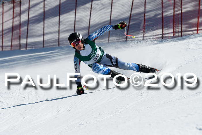 FIS, Int. Dt. Jugendmeisterschaft Abfahrt, Damen + Herren, 20.03.2019