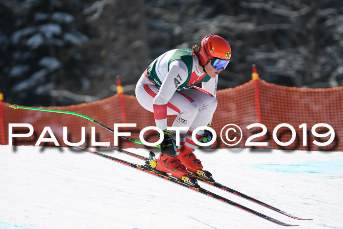 FIS, Int. Dt. Jugendmeisterschaft Abfahrt, Damen + Herren, 20.03.2019
