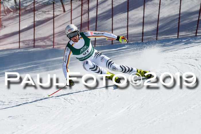 FIS, Int. Dt. Jugendmeisterschaft Abfahrt, Damen + Herren, 20.03.2019