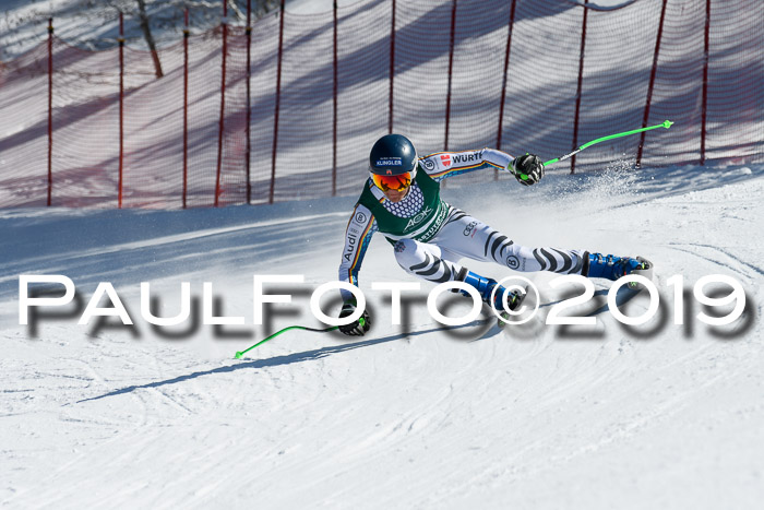 FIS, Int. Dt. Jugendmeisterschaft Abfahrt, Damen + Herren, 20.03.2019