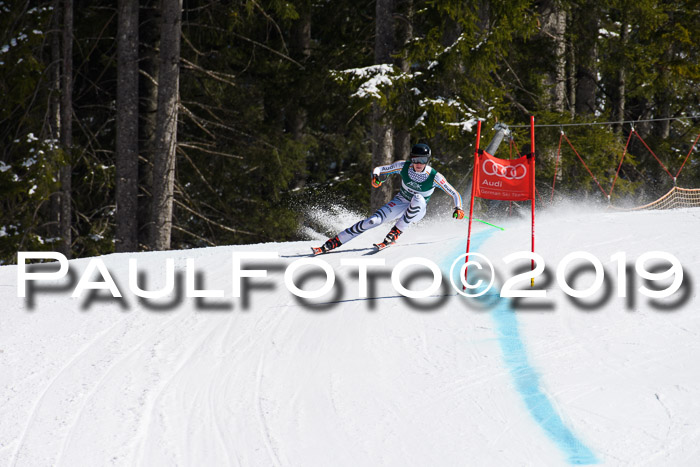 FIS, Int. Dt. Jugendmeisterschaft Abfahrt, Damen + Herren, 20.03.2019