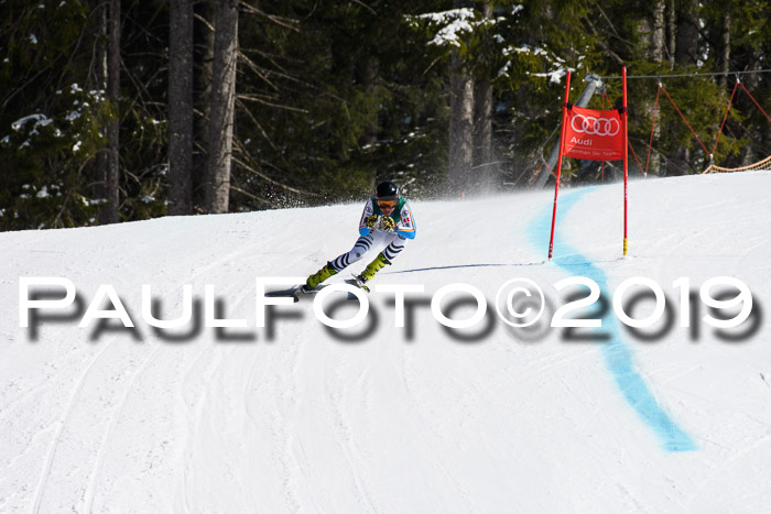 FIS, Int. Dt. Jugendmeisterschaft Abfahrt, Damen + Herren, 20.03.2019