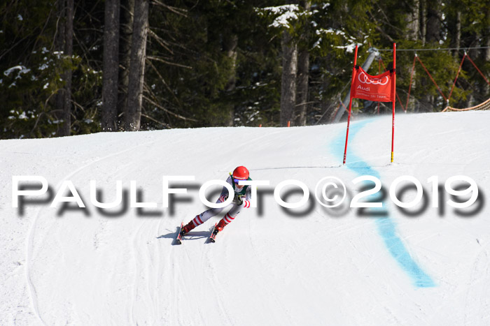 FIS, Int. Dt. Jugendmeisterschaft Abfahrt, Damen + Herren, 20.03.2019