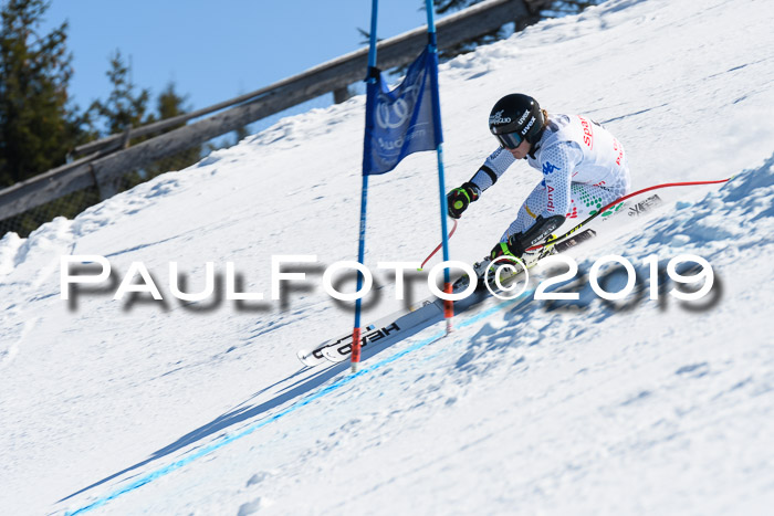 NJC Super-G, Damen + Herren, 21.03.2019