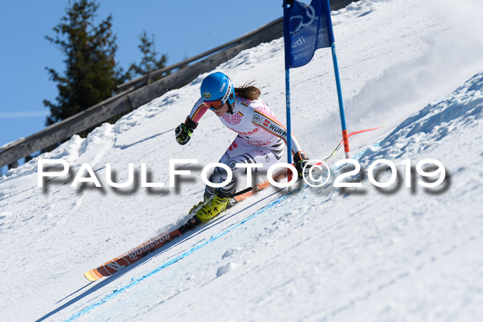 NJC Super-G, Damen + Herren, 21.03.2019