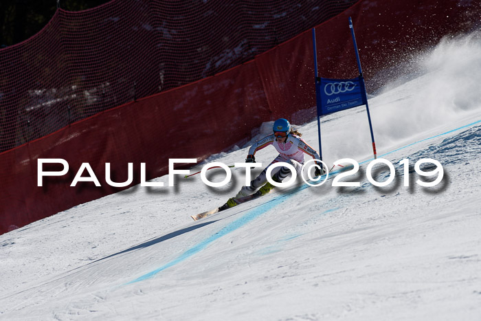 NJC Super-G, Damen + Herren, 21.03.2019