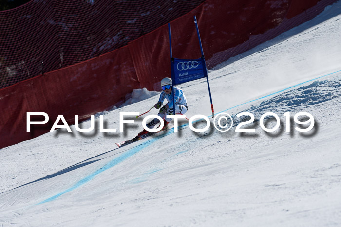 NJC Super-G, Damen + Herren, 21.03.2019