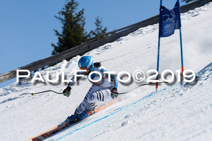 NJC Super-G, Damen + Herren, 21.03.2019