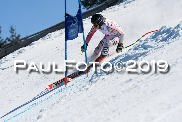 NJC Super-G, Damen + Herren, 21.03.2019
