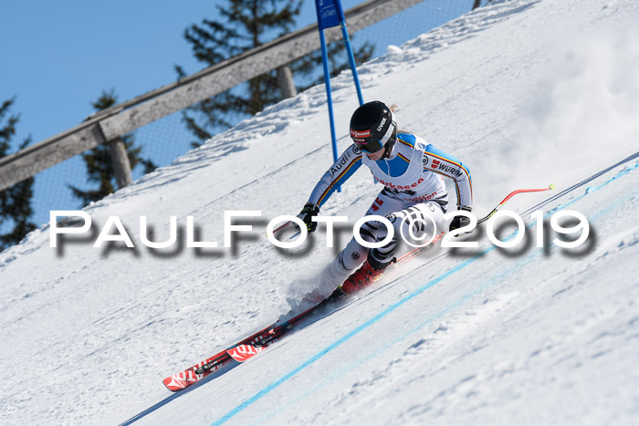 NJC Super-G, Damen + Herren, 21.03.2019