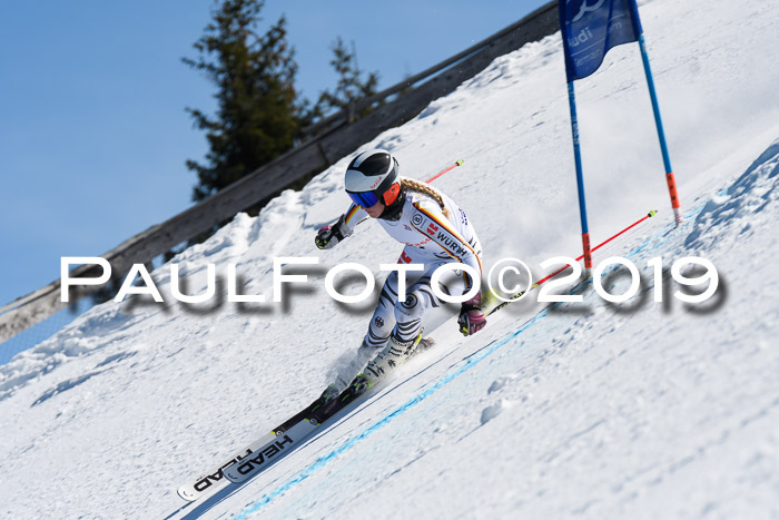 NJC Super-G, Damen + Herren, 21.03.2019