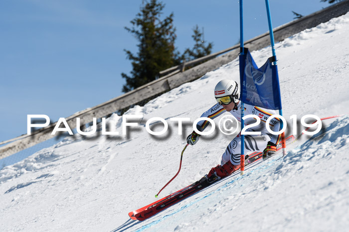 NJC Super-G, Damen + Herren, 21.03.2019