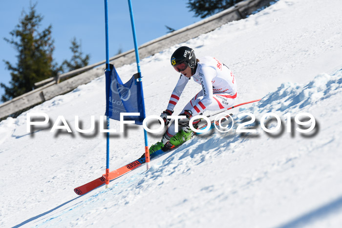 NJC Super-G, Damen + Herren, 21.03.2019