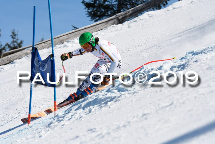 NJC Super-G, Damen + Herren, 21.03.2019