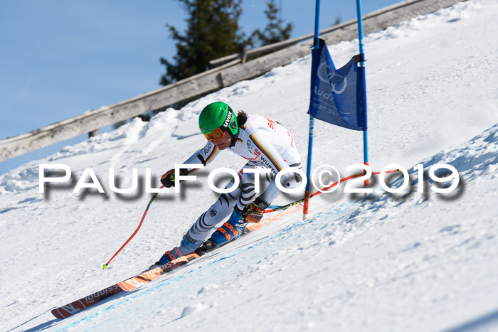 NJC Super-G, Damen + Herren, 21.03.2019