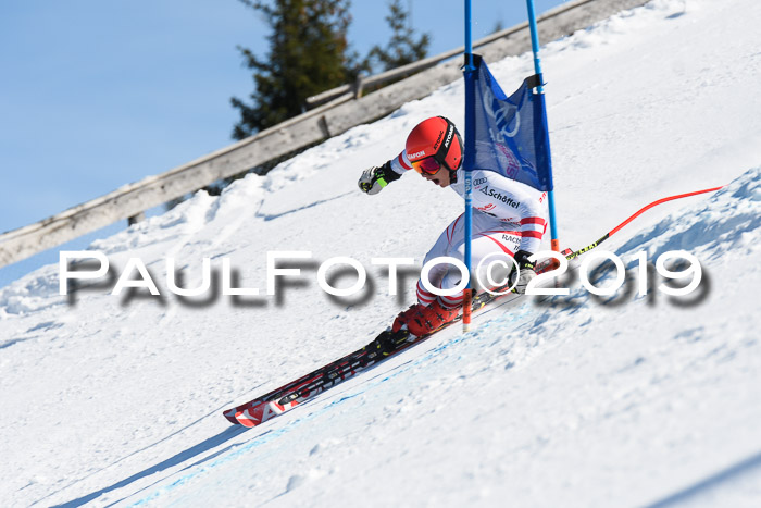 NJC Super-G, Damen + Herren, 21.03.2019