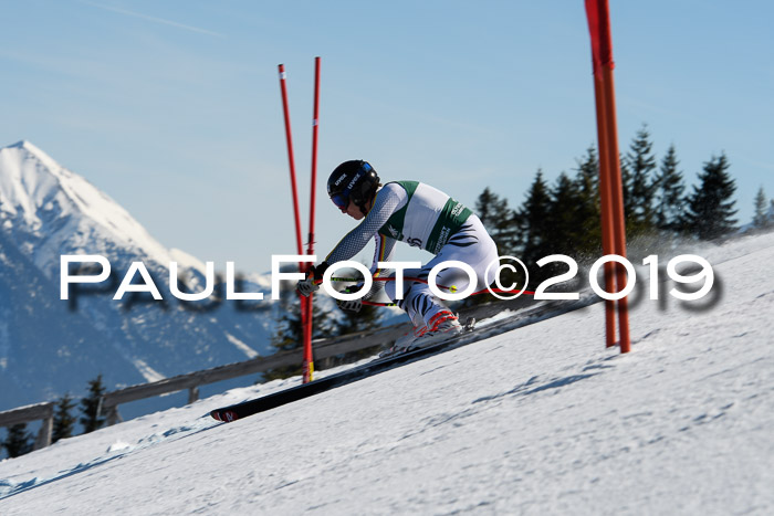 NC Super-G, Damen + Herren, 21.03.2019