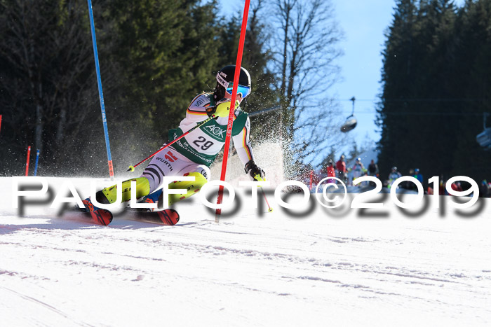 FIS AC + NC AC Slalom Damen + Herren 22.03.2019