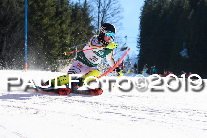 FIS AC + NC AC Slalom Damen + Herren 22.03.2019