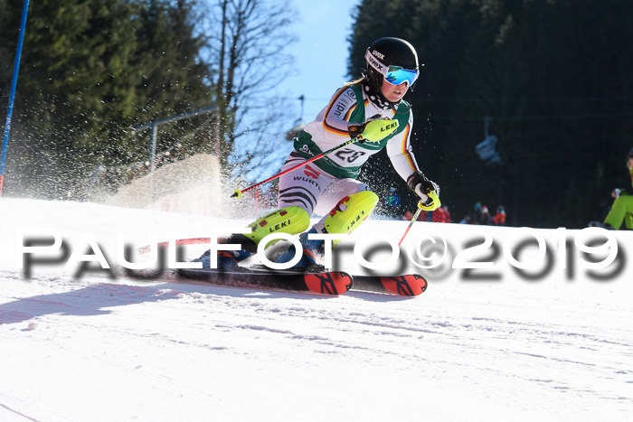 FIS AC + NC AC Slalom Damen + Herren 22.03.2019