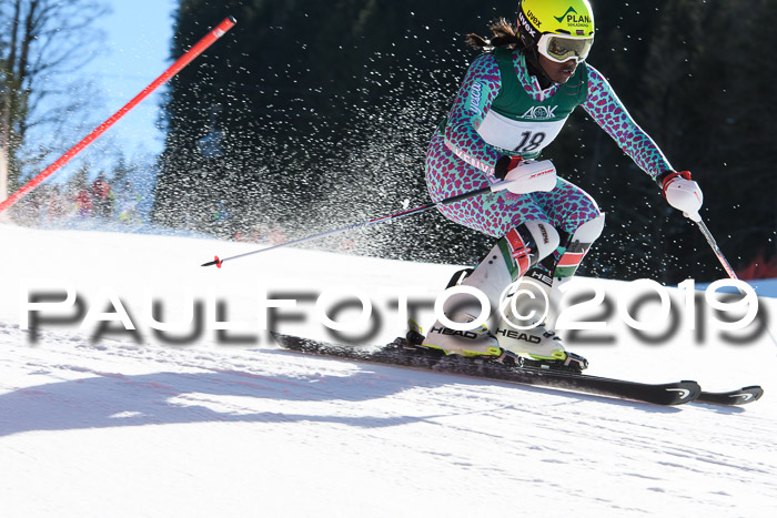 FIS AC + NC AC Slalom Damen + Herren 22.03.2019