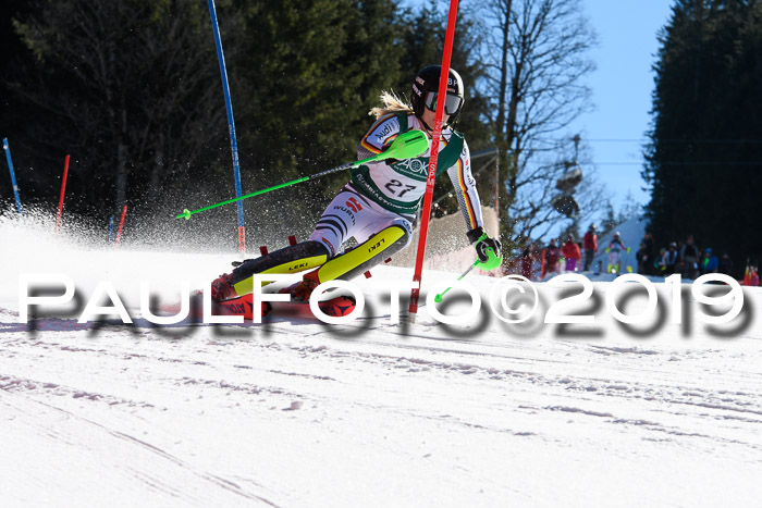 FIS AC + NC AC Slalom Damen + Herren 22.03.2019