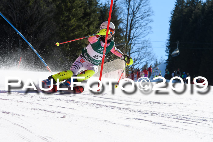 FIS AC + NC AC Slalom Damen + Herren 22.03.2019