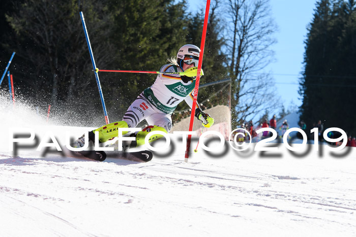 FIS AC + NC AC Slalom Damen + Herren 22.03.2019
