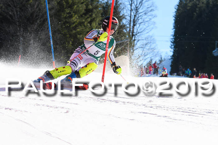 FIS AC + NC AC Slalom Damen + Herren 22.03.2019