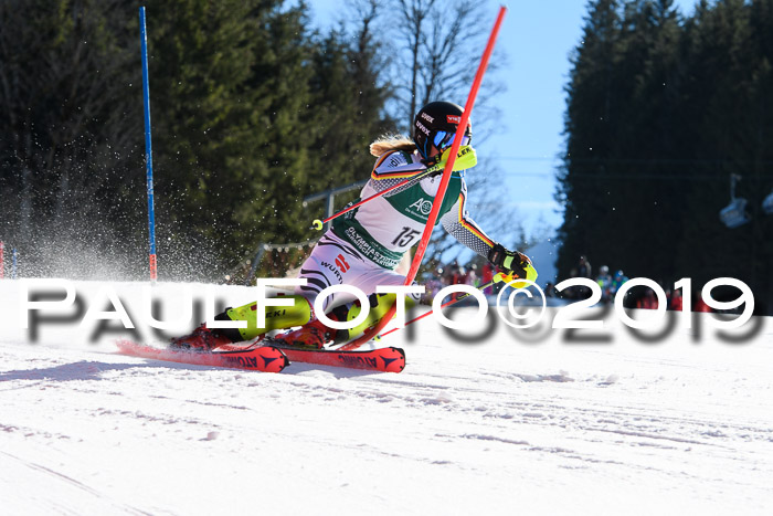 FIS AC + NC AC Slalom Damen + Herren 22.03.2019