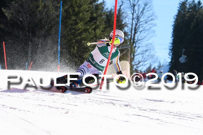 FIS AC + NC AC Slalom Damen + Herren 22.03.2019