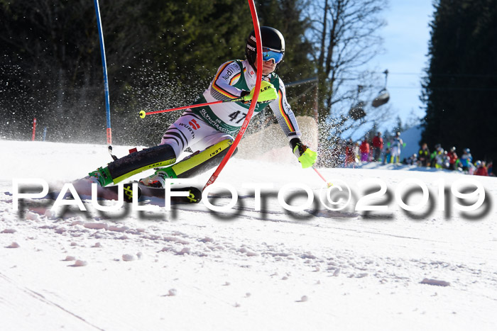 FIS AC + NC AC Slalom Damen + Herren 22.03.2019