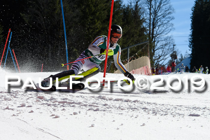 FIS AC + NC AC Slalom Damen + Herren 22.03.2019