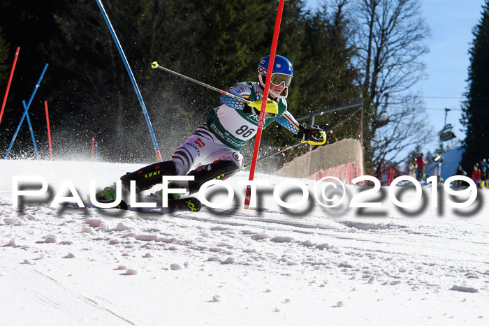 FIS AC + NC AC Slalom Damen + Herren 22.03.2019