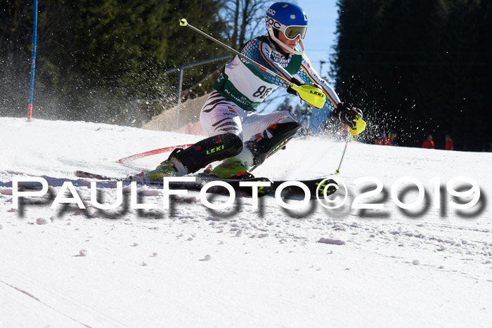 FIS AC + NC AC Slalom Damen + Herren 22.03.2019