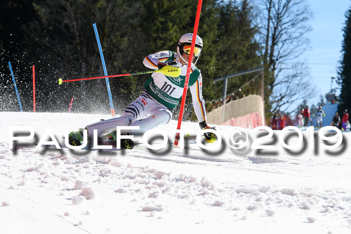 FIS AC + NC AC Slalom Damen + Herren 22.03.2019