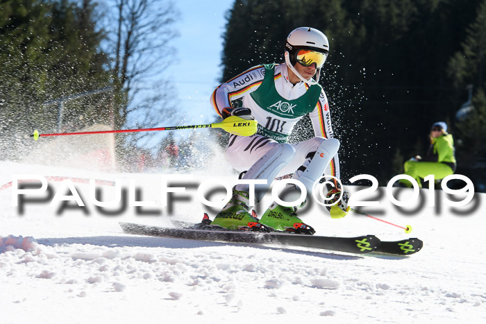 FIS AC + NC AC Slalom Damen + Herren 22.03.2019
