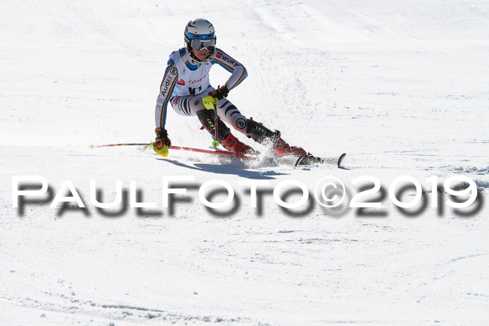 FIS AC + NC AC Slalom Damen + Herren 22.03.2019