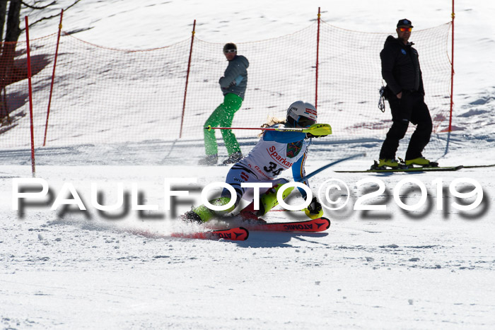 FIS AC + NC AC Slalom Damen + Herren 22.03.2019