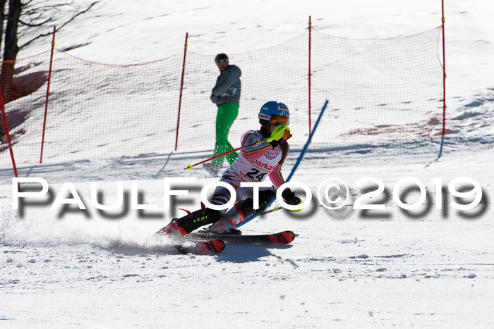 FIS AC + NC AC Slalom Damen + Herren 22.03.2019